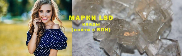прущие грибы Армянск
