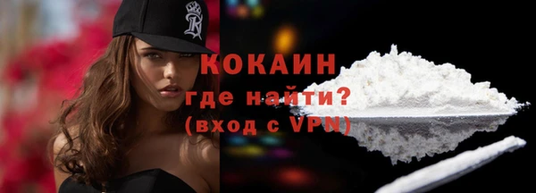 прущие грибы Армянск