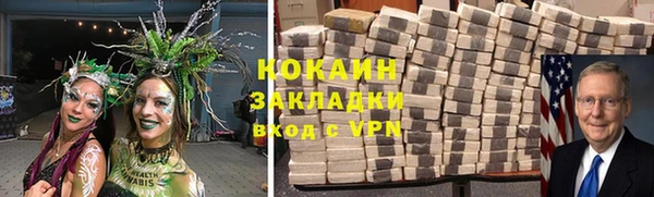 прущие грибы Армянск