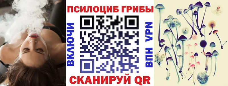 Псилоцибиновые грибы прущие грибы  kraken tor  Магас 